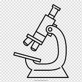 Microscopio Microscope Optico Microscópio óptico Partes Ottico Livro Pepe Compuesto Gaivota Gaivotas sketch template