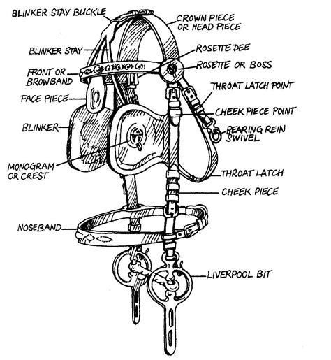 glossary  harness parts related terms ehi virtual museum horse harness horse  buggy