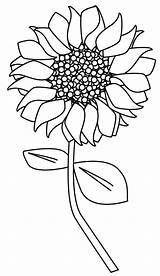 Sunflower Outline sketch template