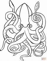 Squid Calamar Lula Ausmalbild Kalmar Calamaro Colorir Ausmalbilder Riesenkalmar Inktvis Kleurplaten Desenhos Colossal Stampare Disegnare sketch template