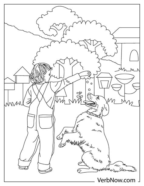 labrador dog coloring pages book   printable