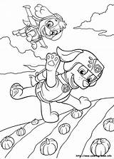 Patrol Paw Coloring Air Pages Getdrawings Pups Colouring sketch template