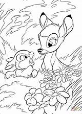 Coloring Bambi Thumper Pages Forest Ausmalbilder sketch template