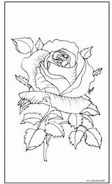 Pergamano Patterns Rose Embroidery Coloring Paper Pages Parchment Flower Drawing Trace Da Pattern Flowers Color Tracing Burning Wood Adults Sheets sketch template