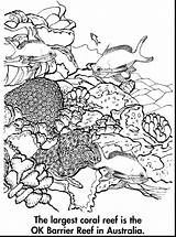Reef Barrier Coloring Great Coral Pages Drawing Australia Ocean Printable Color Kids Drawings Sheets 18kb 1233 Getdrawings Choose Board sketch template