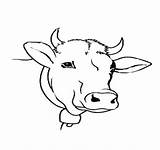 Cow Template Head Coloring Outline Drawing Animal Printable Print Templates Color Pages Getcolorings Getdrawings sketch template