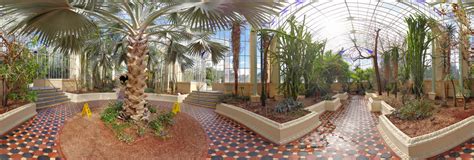 palm house  adelaide botanic garden  panorama cities