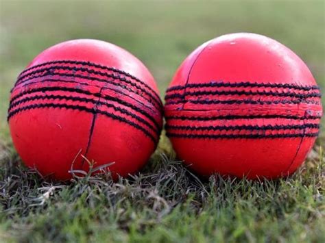expensive duleep trophy pink balls  vip security  noida stadium cricket hindustan times