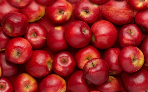record losses   history  global apple market   fruit ukraine