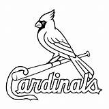 Cardinals Louis Logo St Coloring Bird Stl Baseball Pages Vector Cardinal Svg Printable Transparent Clipart Saint Drawing Logos Stencil Line sketch template