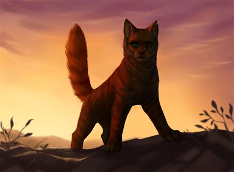 firestar  coyrin  deviantart