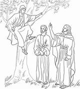 Coloring Jesus Zacchaeus Meets Pages Printable Tree Fig Bible Zaccheus Kids Supercoloring Color Para Sheets Colorear Door Knocking Period Mission sketch template