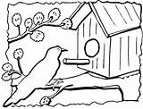 Uccelli Colorare Casetta Birdhouse Coloring Vogelhaus Kleurplaat Vogelhuisje Domek Disegni Feeder Vogelhuis Ausmalbild Ausdrucken sketch template