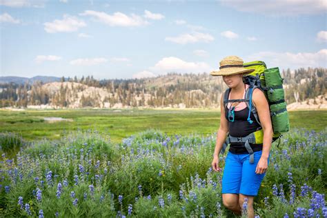 young woman hiking   trail   alpine meadow stock photo pixeltote