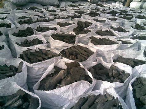 charcoal charcoal suppliers  manufacturers kotika global