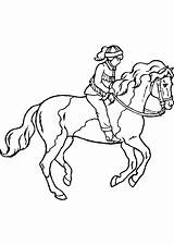 Cavaliere Horse Running Cheval Cavalier Hugolescargot Partager sketch template