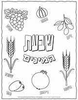 Shavuot Planerium Hebrew sketch template