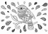 Oiseau Coloring Zentangle Uccelli Colorare Aves Adultos Disegni Erwachsene Coloriages Goutes Adulti Drop Gouttes Colorati Malbuch Justcolor sketch template