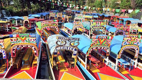 xochimilco mexico city book  tours getyourguide