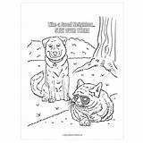 Grumpy Coloring Cat Pages Designlooter Getdrawings Drawing Getcolorings sketch template