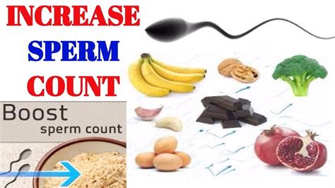 7 healthy foods that increase sperm count