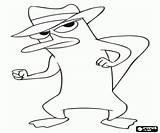 Perry Platypus Ferb Phineas Coloring Pages Agent Secret Mascot Printable Also sketch template