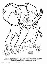 Wild Coloring Pages Elephant Animals Animal Print Kids Honkingdonkey Sheet Activity African Library Fun Popular Comments sketch template