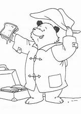 Paddington Bear Coloring Lunch Open His Color sketch template
