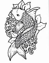 Koi Fish Coloring Pages Choose Board Colouring sketch template