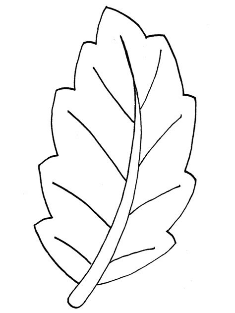 leaf coloring page images pictures becuo