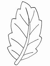 Leaf Coloring Leaves Pot Printable Pages Library Clipart Colouring Cartoon sketch template