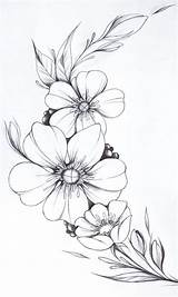 Flower Drawing Flowers Drawings Tattoo Beautiful Tattoos Line Blumen Floral Desenhos Flor Sketches Bloemen Flora Easy Zeichnen Flores Von Draw sketch template