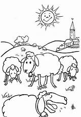 Coloring Pages Sheep Farm Animal Printable Adha Eid Coloriage Scene Color Kids Print Al Pré Moutons Islam Un Hellokids Et sketch template
