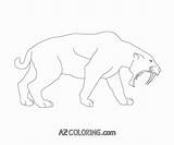 Coloring Tiger Saber Tooth Pages Sabertooth Fresh Drawing sketch template