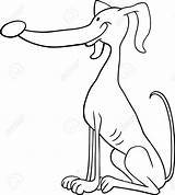 Whippet Coloring Pages Simple Colorings Getcolorings Color Getdrawings sketch template