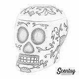 Scentsy Buddies Scent sketch template