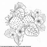 Colouring Getcoloringpages sketch template