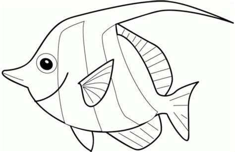 angelfish coloring page supercoloringcom