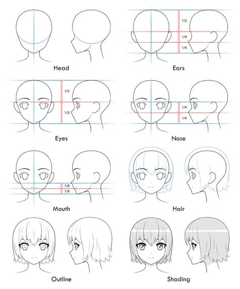 menggambar kepala cewek  perempuan bergaya anime anidraw