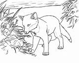 Fox Coloring Pages Printable Kids sketch template