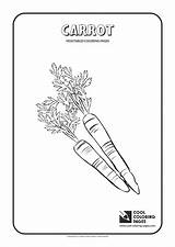 Coloring Carrot Cool Pages Vegetables Eat Plants sketch template