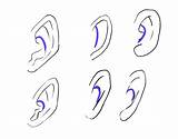Anime Ears Draw Step Guide Three Simple Antihelix Highlighted Studies sketch template