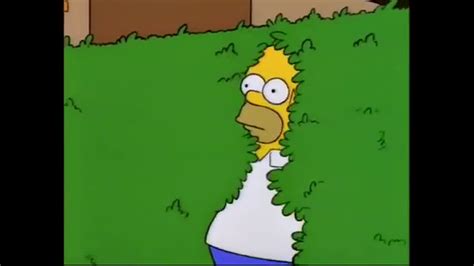 Homer Disappears Into Bushes The Simpsons Meme Template Download 🔥🔥