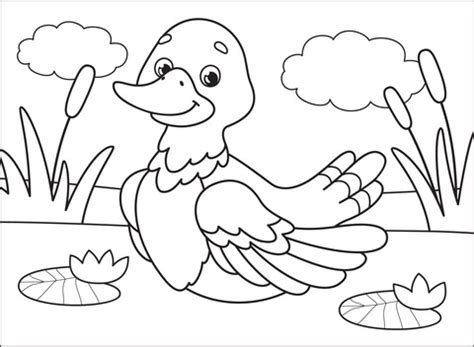 duck coloring page  printable coloring pages