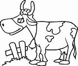 Colorir Krowa Mewarnai Sapi Kuh Vacas Kolorowanki Vaca Druku Kolorowanka Imprimir Krówka Krowy Ausmalbilder Cattle Ausmalbild Mucca Lucu Cows Pastwisku sketch template