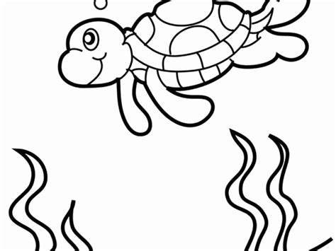 finding nemo turtle coloring pages  getdrawings