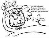 Owl sketch template