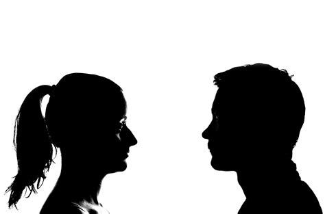 the implications of male and female brain differences a