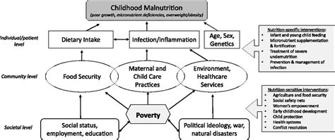 What Pediatricians Can Do To Address Malnutrition Globally