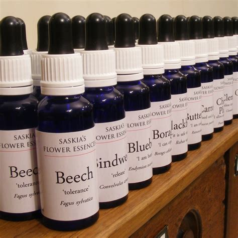 Practitioners Set All 48 Of Our Single Essences Stock Strength
